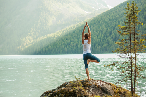 The 10 Best Yoga Certifications in the World - Sports Management